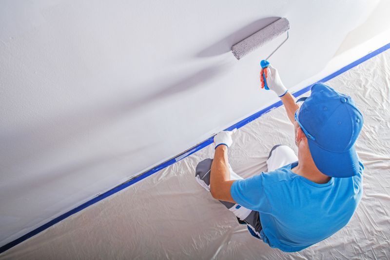 Professional Painting
